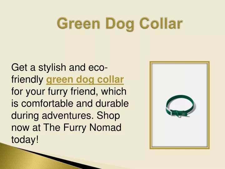 PPT - Green Dog Collar PowerPoint Presentation, free download - ID:13424335