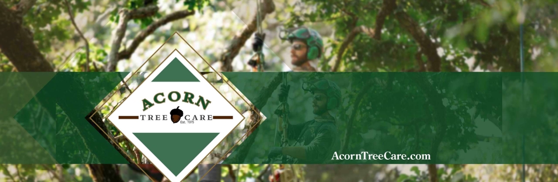 Acorn Tree Care Cover Image