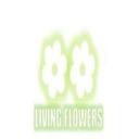 @livingflowers on Tumblr