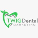 Twig Dental Marketing Profile Picture
