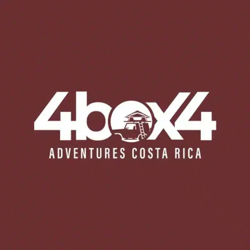 4box4 costa Profile Picture