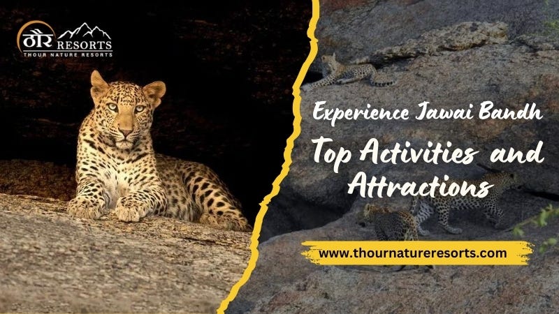 Experience Jawai Bandh: Top Activities and Attractions | Medium