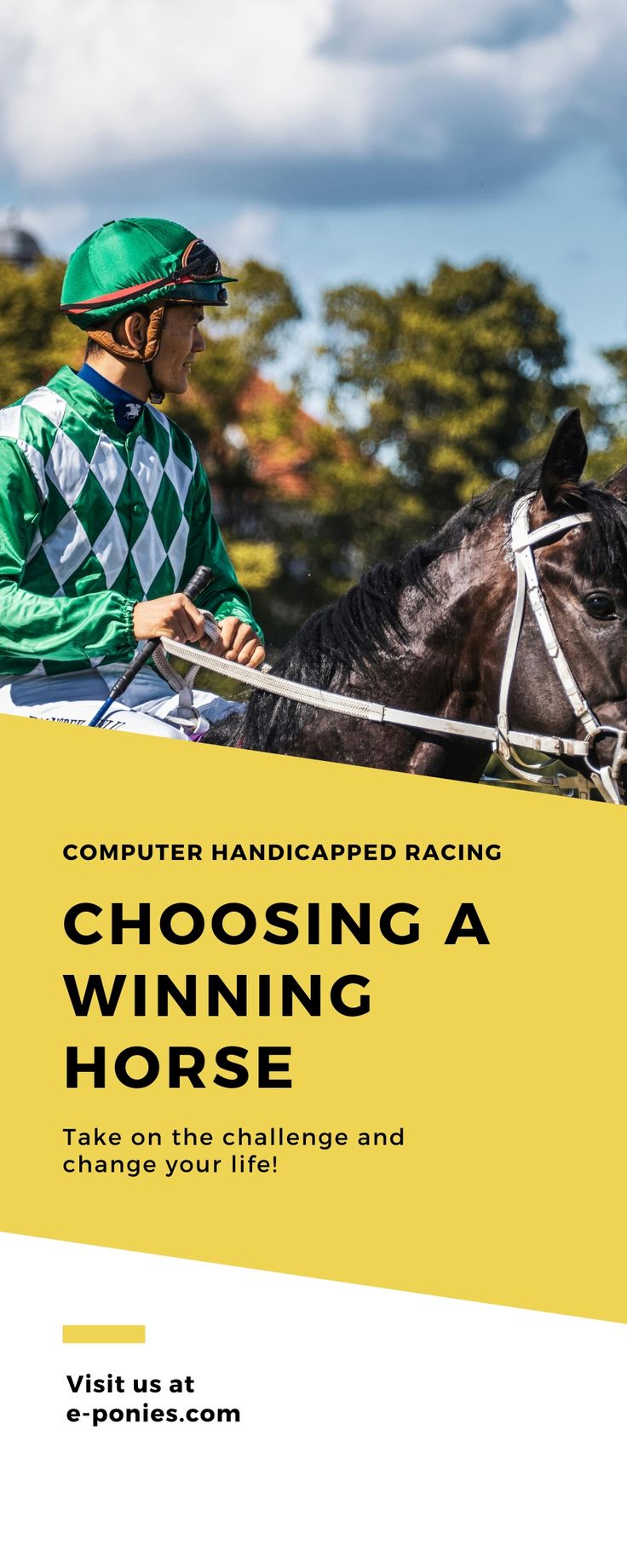 Horses Picks: Choosing a Winning Horse in 2024 | Horse racing bet, Horse racing, Horses