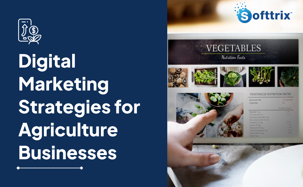 Digital Marketing Strategies for Agriculture Businesses 2024