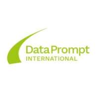 DataPrompt International Profile Picture