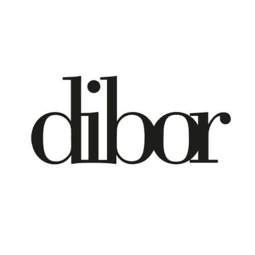 Dibor Homes Profile Picture