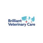 Brilliant Veterinary Care Profile Picture