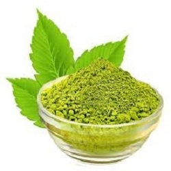 Organic Tulsi Extract - Aryan Food Ingredients Limited