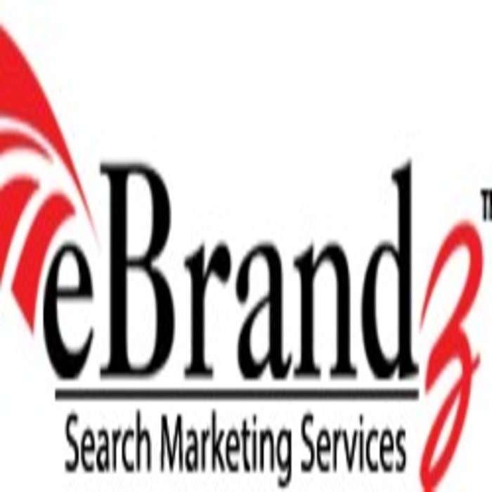 ebrandz inc Profile Picture