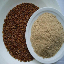 Organic Fenugreek Extract - Aryan Food Ingredients Limited