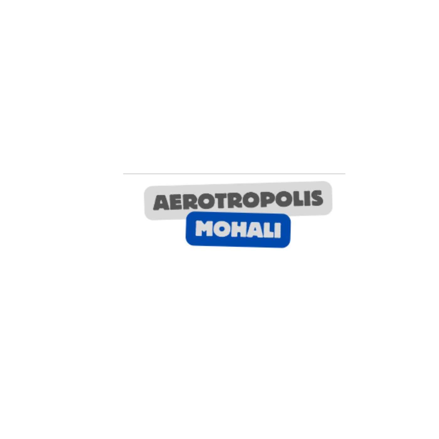 Mohali Aerotropolis Profile Picture