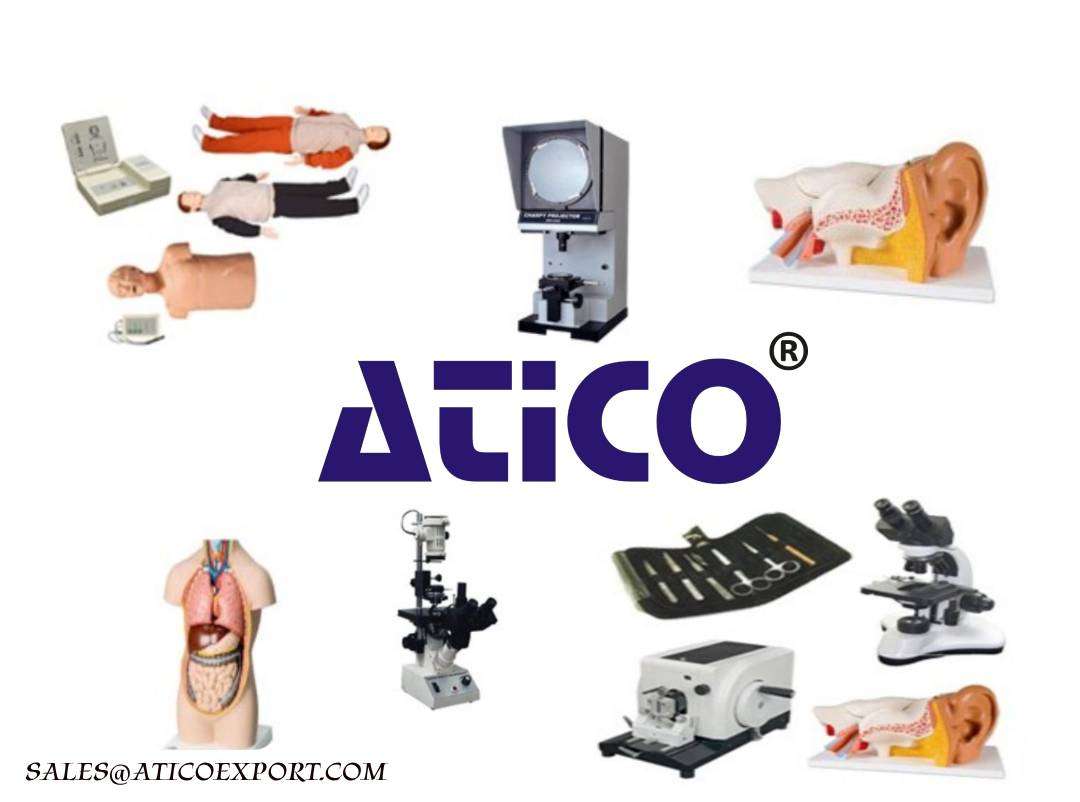 Atico Export Profile Picture