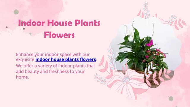 Indoor House Plants Flowers - Dafferdil Floral Creations | PPT