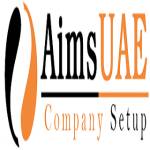 UAE Company Setup Profile Picture