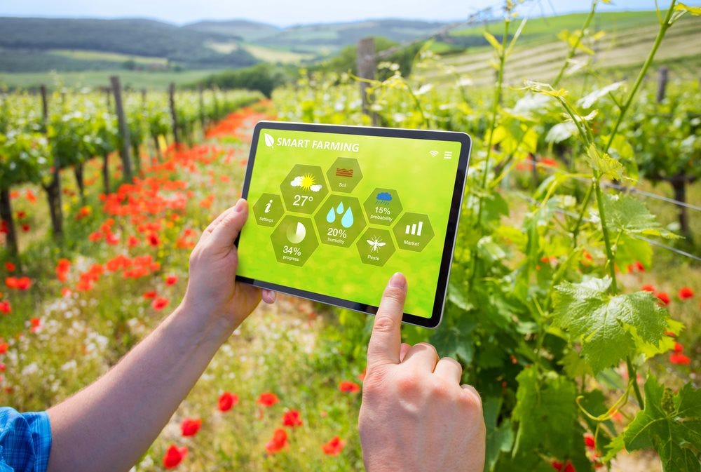 How Crop Monitoring Software is Transforming Farming Practices? - World News Fox