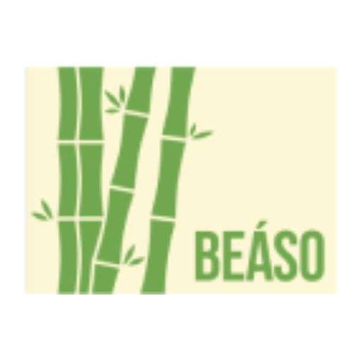 Beaso Panels Profile Picture