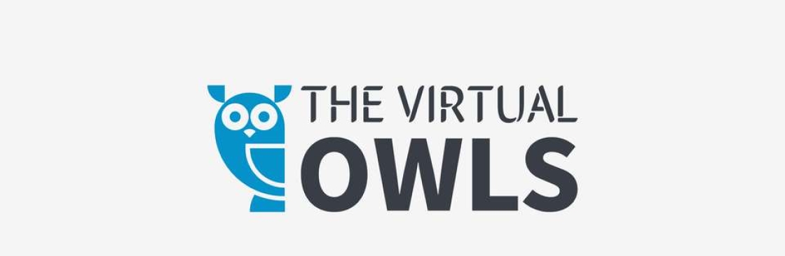 The Virtual Owls Cover Image