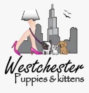 Westchester Puppies & Kittens Profile Picture