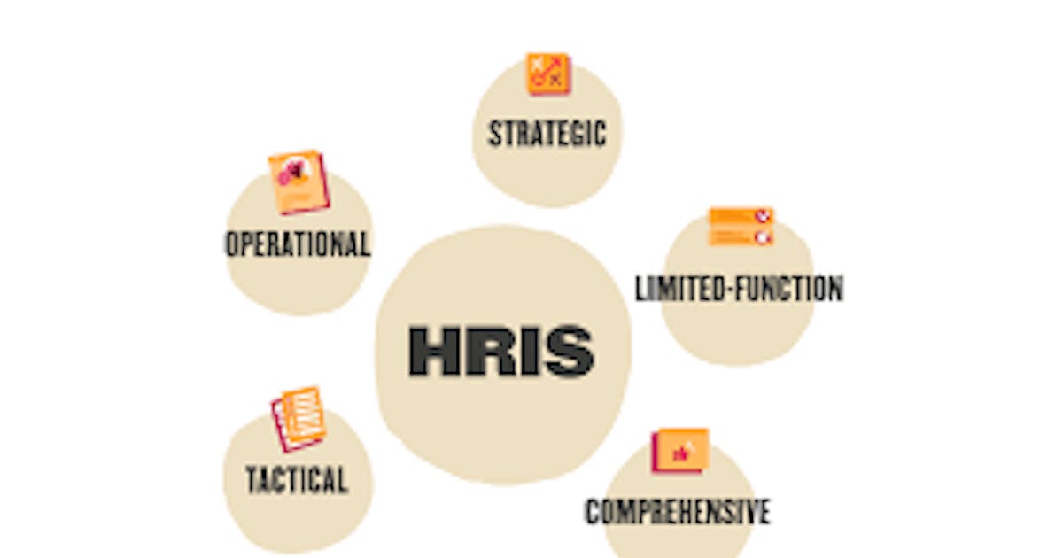 Gain Organizational Insight with Our Visual Charts