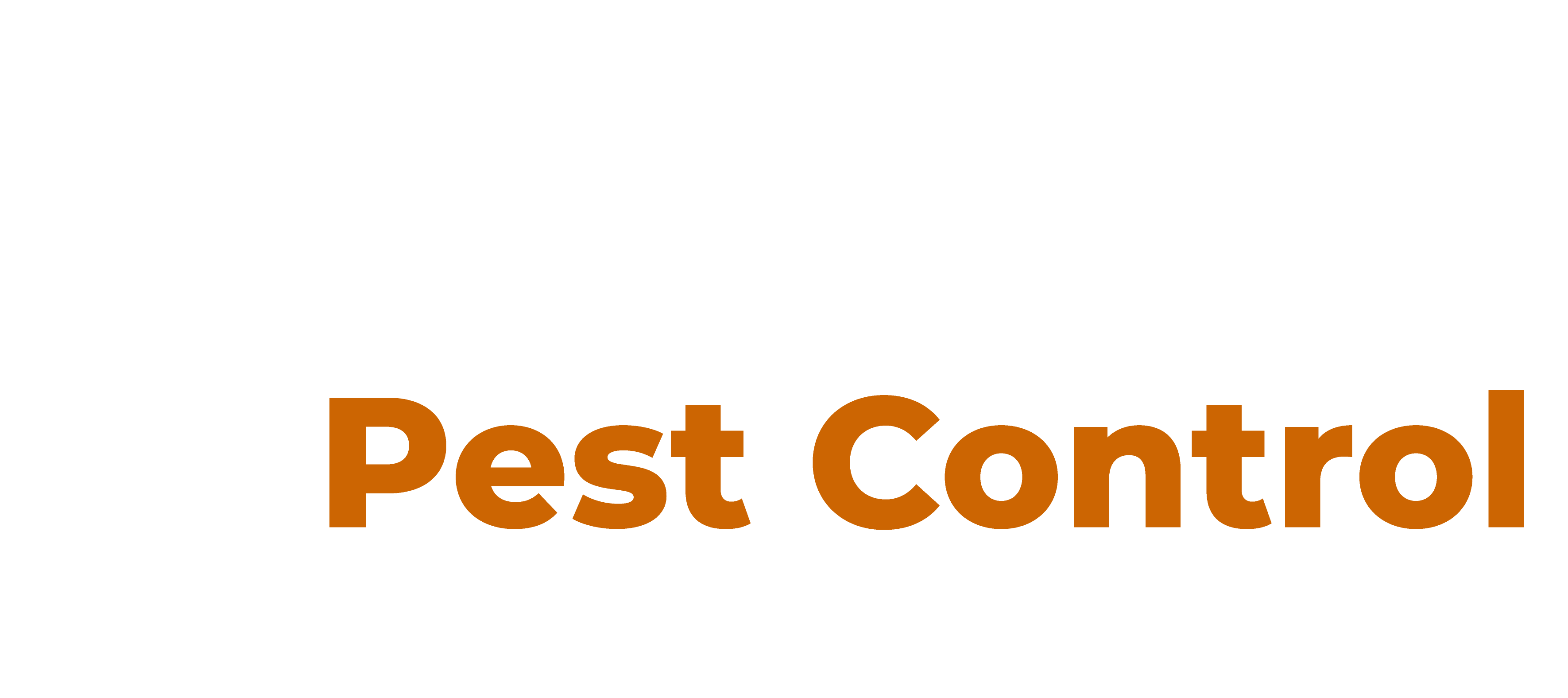 Comprehensive Rodent Control Services: Protect Your Home with Beacon Pest Control