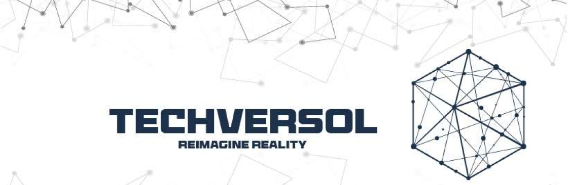 Techversol Inc Cover Image