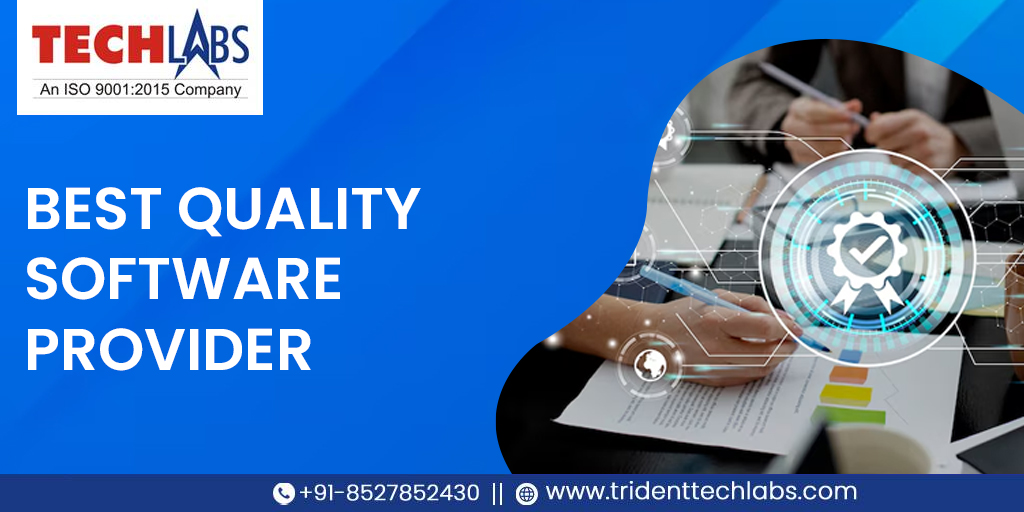 Best Quality Software Provider: Catering to Industry Needs