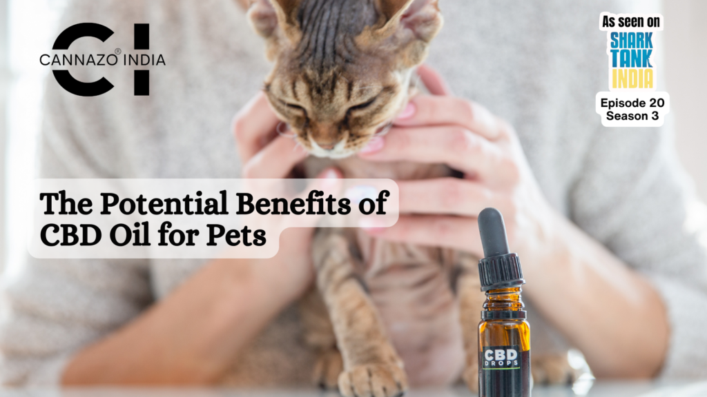 CBD Oil for Pets: A Natural Solution for Their Health