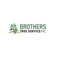 Brothers Tree Service Nc Profile Picture