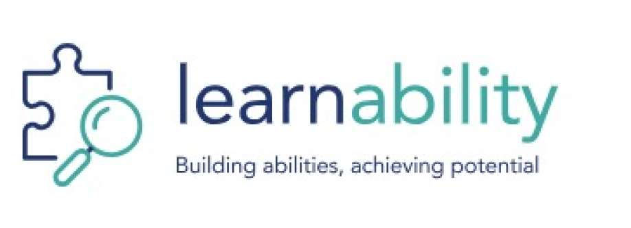 The Learnability Cover Image