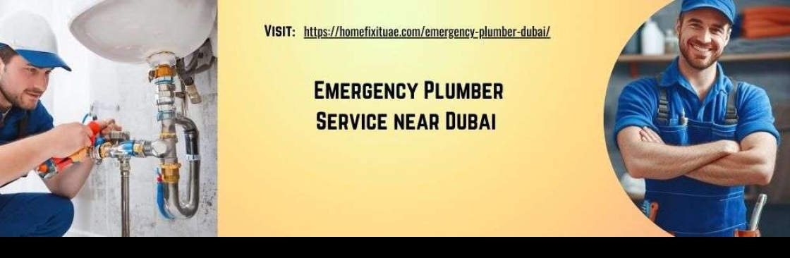 Emergency Plumbing Services in Cover Image