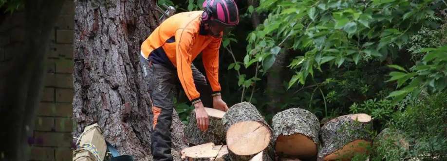 Crows Nest Tree Removal Cover Image