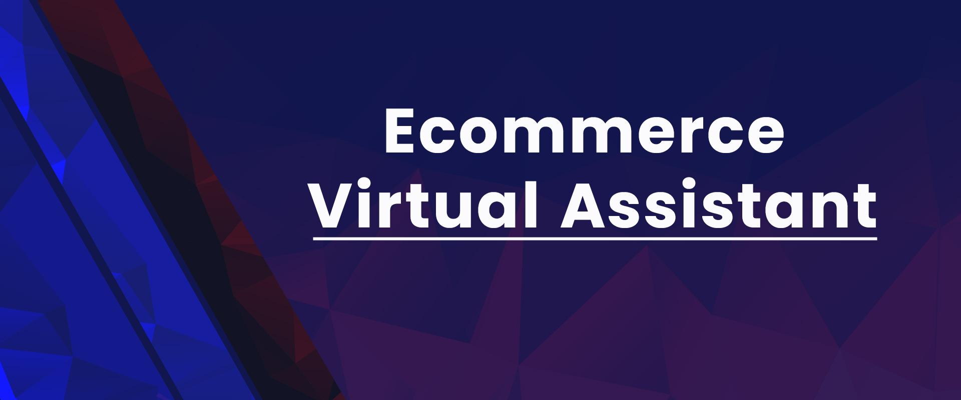 Ecommerce virtual assistant | Ecommerce Virtual Assistant | Amazon Expert VA | Data Entry Assistant