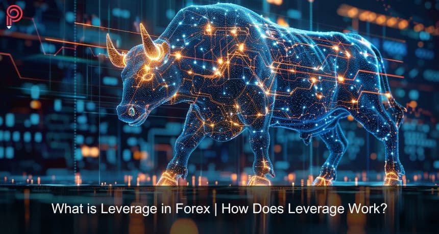 What is Leverage in Forex? | How Does Leverage Work?