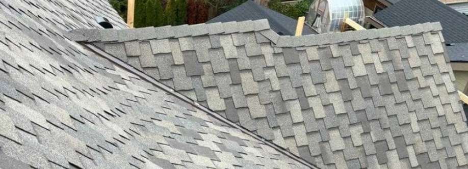 Anytime Roofing Cover Image