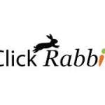 Click Rabbit Profile Picture