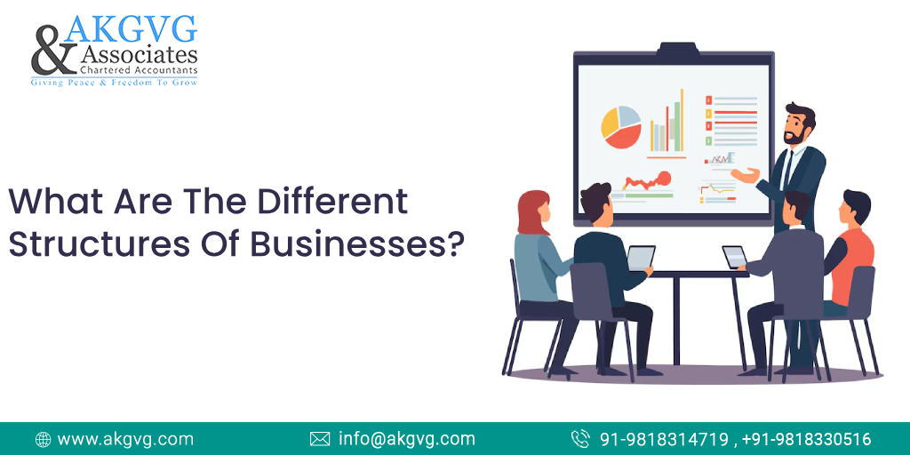 What Are The Different Structures Of Businesses? - AKGVG & Associates