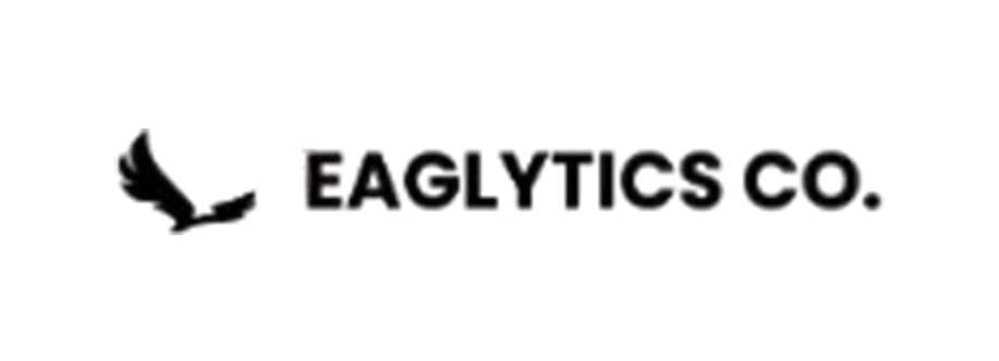 Eaglytics Co Cover Image