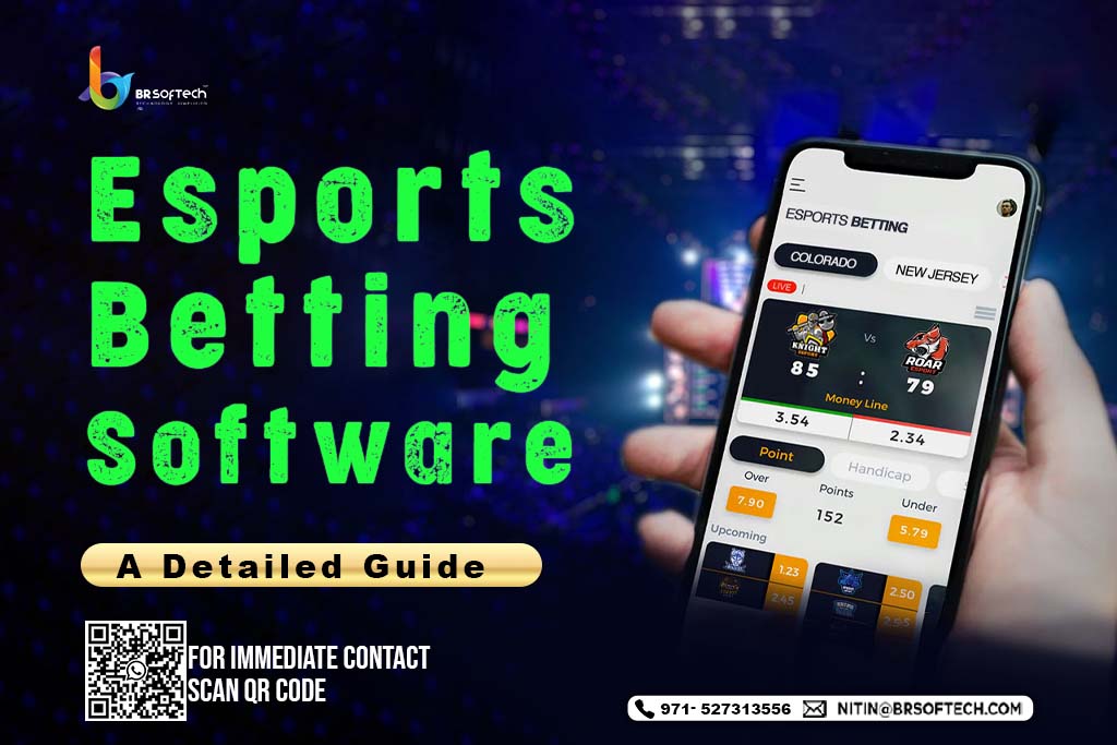 Esports Betting Software Development: From Concept to Launch