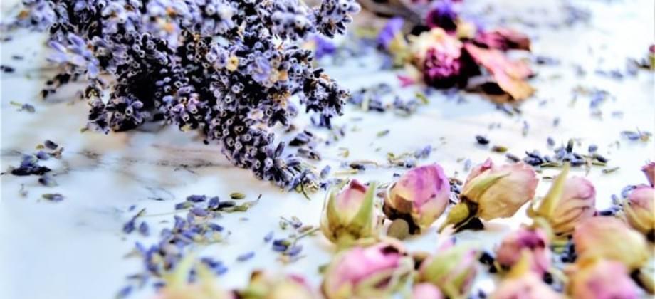 The Advantages of a Seasonal Dried Flower Subscription ...