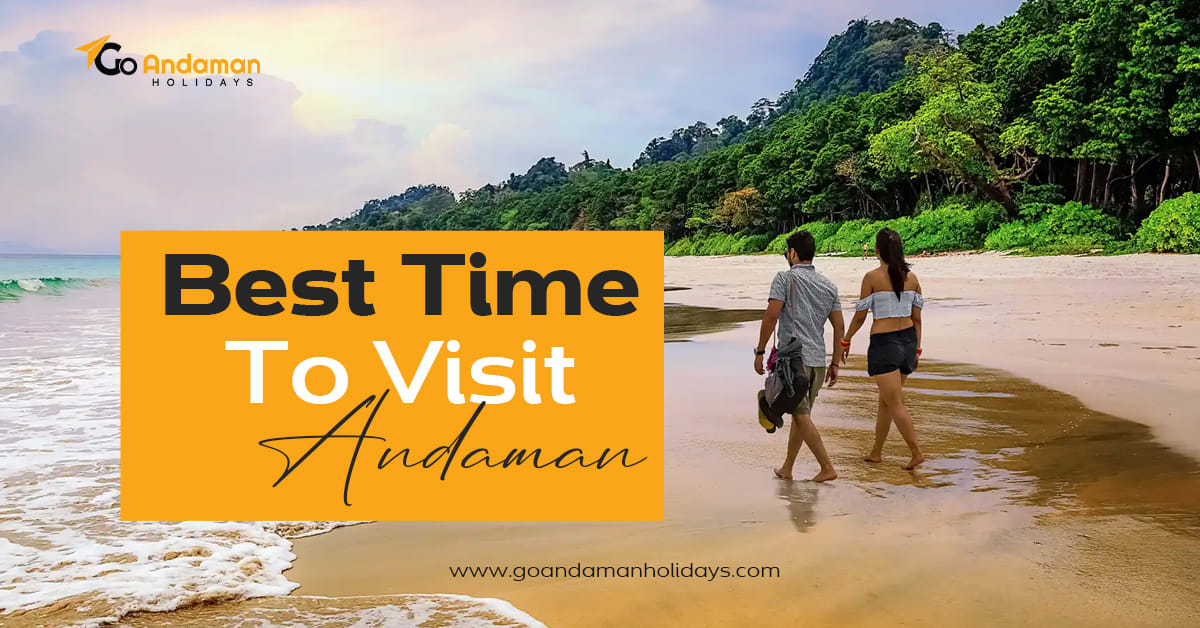 Andaman Escapades: Unveiling the Ideal Seasons to Explore the Island Paradise | Lifehack