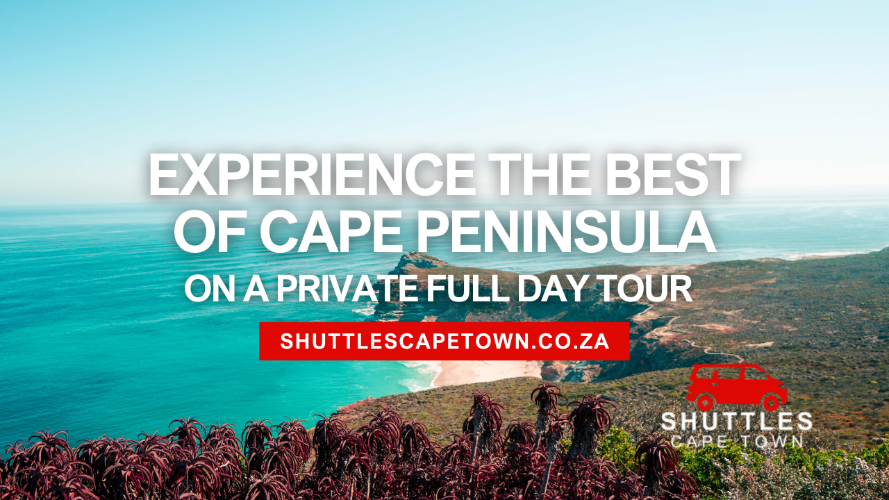 Experience the Best of Cape Peninsula on a Private Full Day Tour