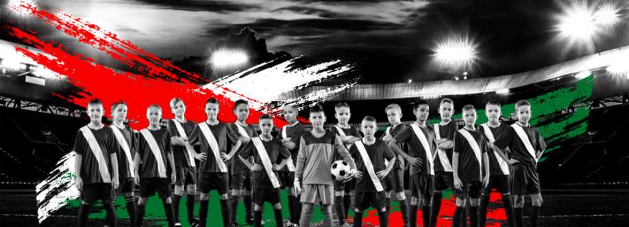 Soccer stars Cover Image