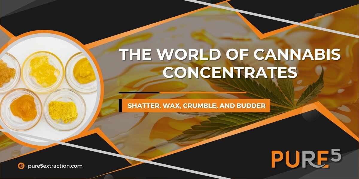 Cannabis Concentrates Guide: Shatter, Wax, Crumble, Budder