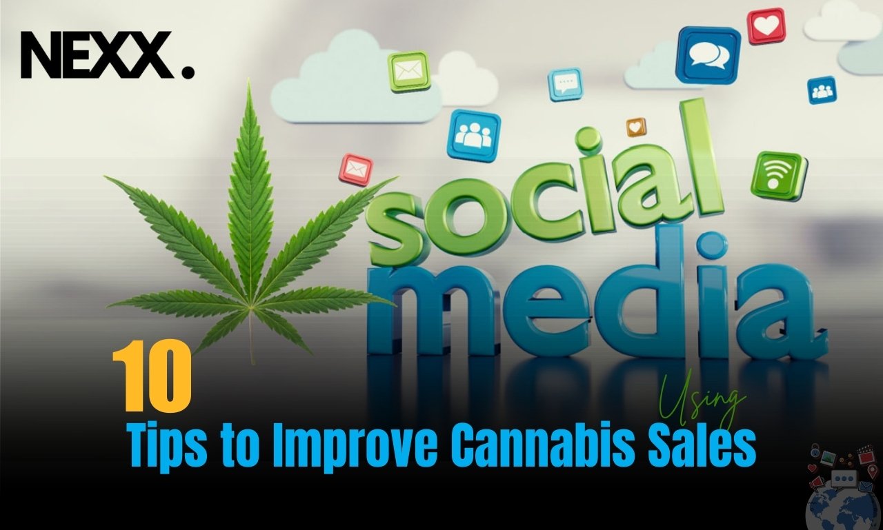 10 Tips for Using cannabis business social network