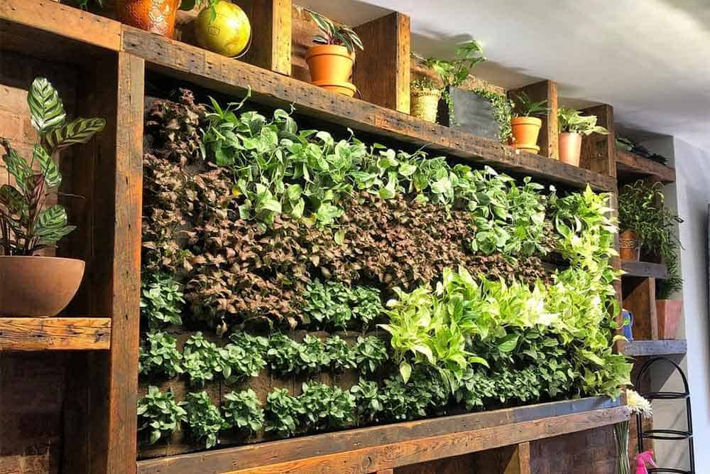 Best Living Walls Company in New York - Eco Brooklyn