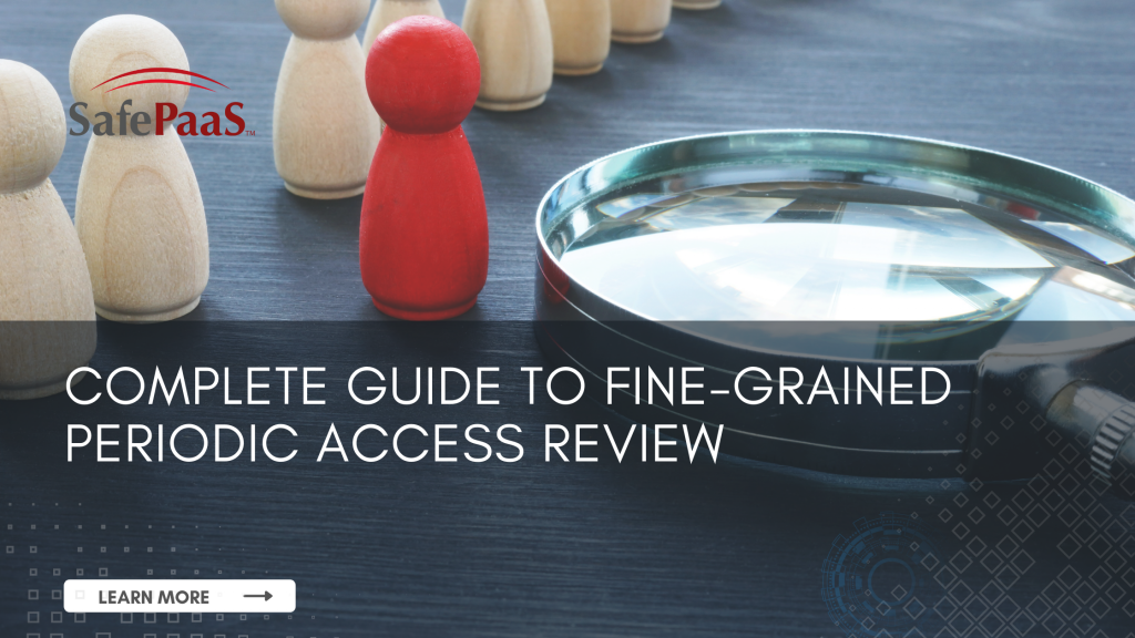 Complete Guide to Fine-Grained Access Review - SafePaaS