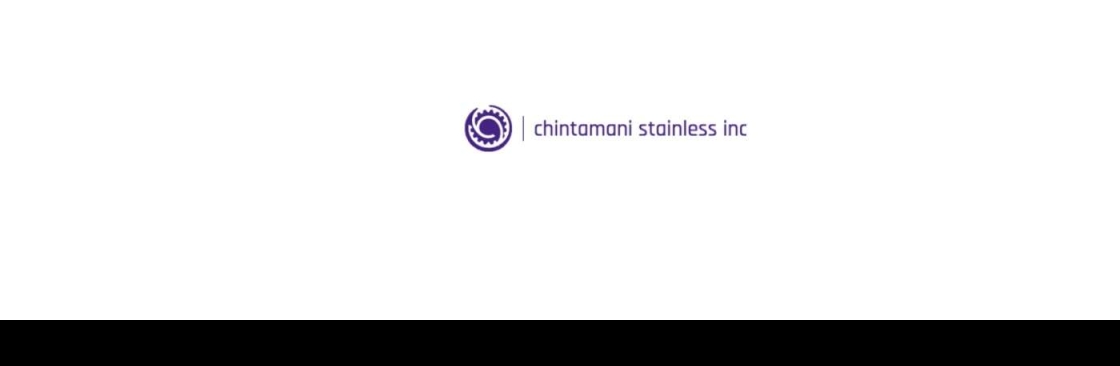 CHINTAMANI STAINLESS INC Cover Image