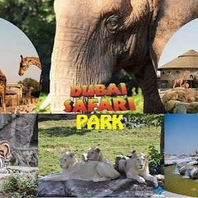 Dubai Safari Park Profile Picture