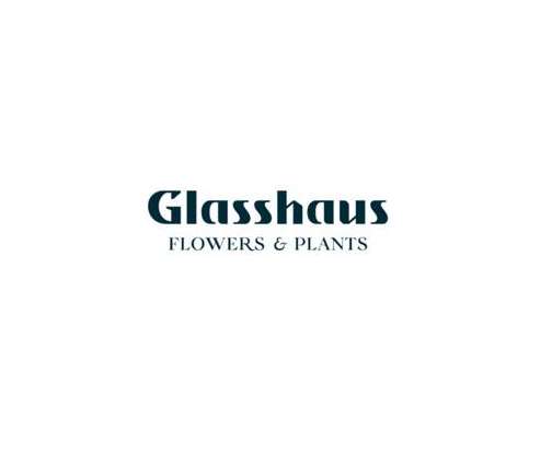 Glass haus Profile Picture