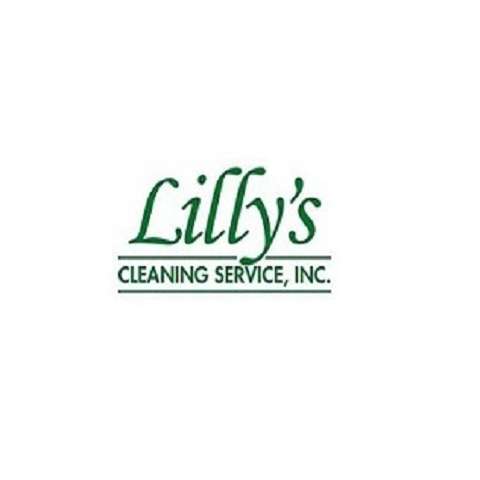 lilly cleaning services Profile Picture